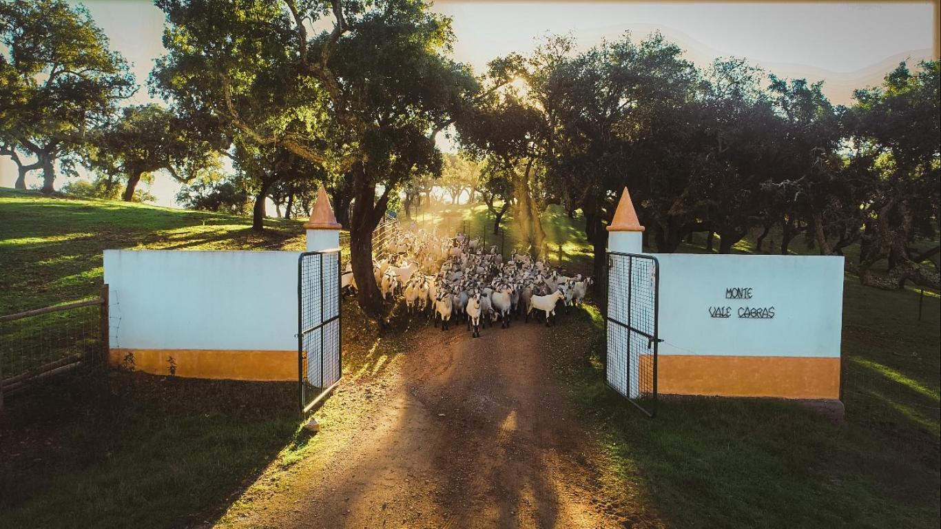 Herdade Vale De Cabras Portel Exterior foto